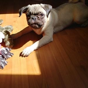 Meet your Posher, Linda